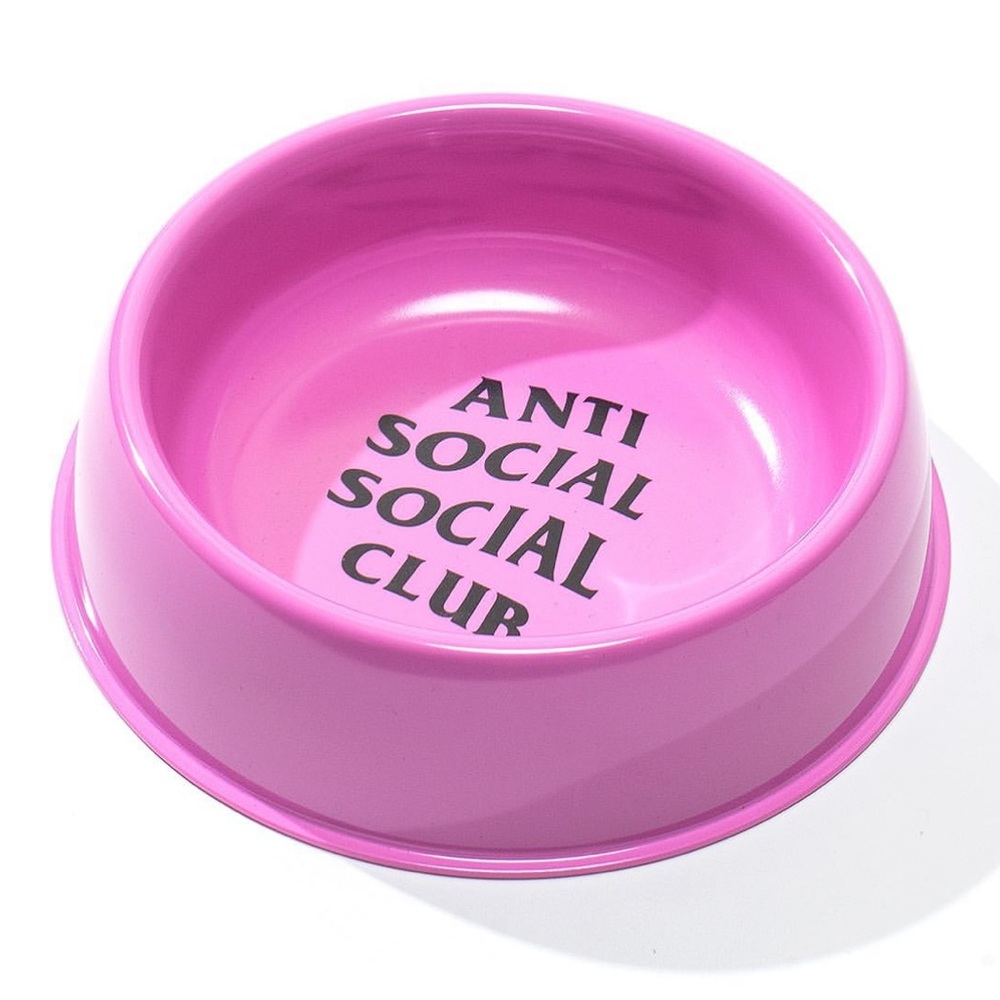 New dog bowl